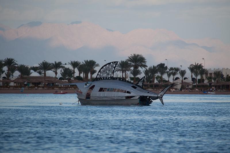 Dahab selectie 2010_01_20 16h17m.jpg - Glass Bottom Boat cruise